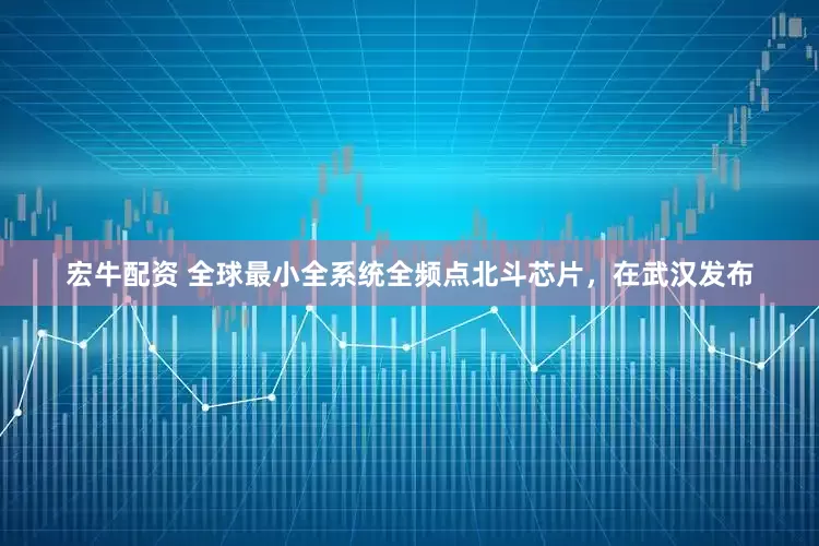 宏牛配资 全球最小全系统全频点北斗芯片，在武汉发布