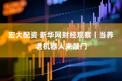 宏大配资 新华网财经观察丨当养老机器人来敲门