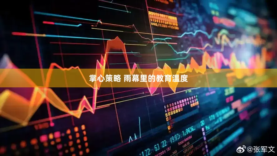 掌心策略 雨幕里的教育温度