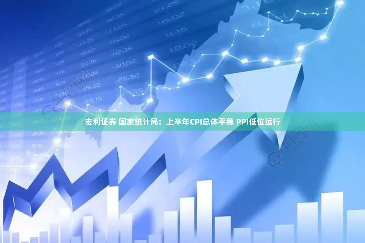 宏利证券 国家统计局：上半年CPI总体平稳 PPI低位运行