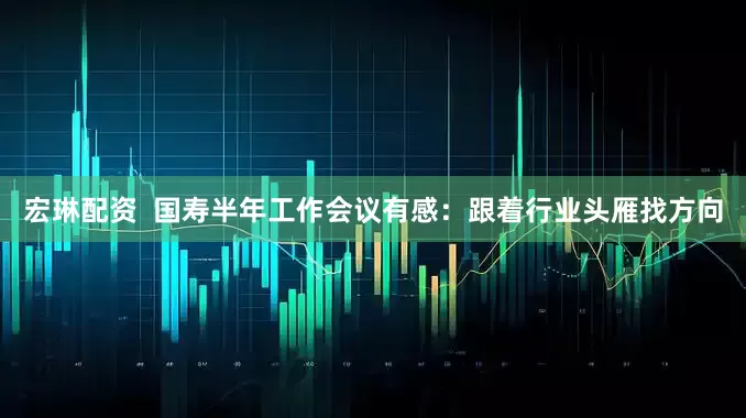 宏琳配资  国寿半年工作会议有感：跟着行业头雁找方向