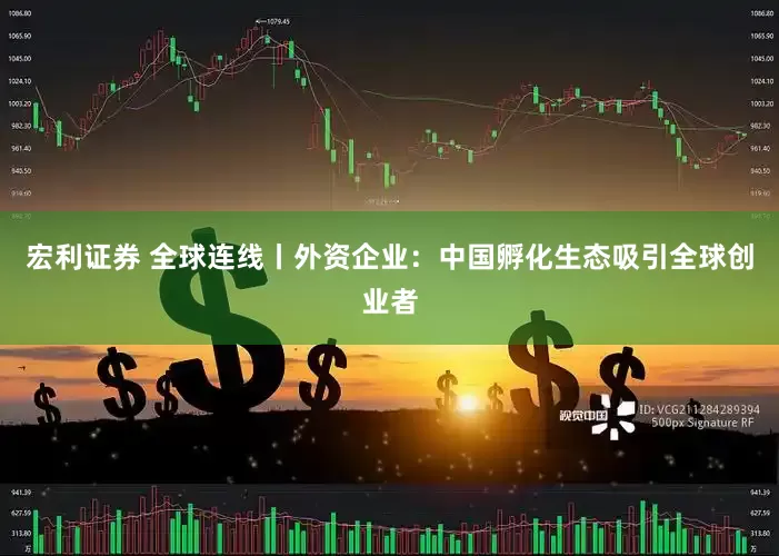 宏利证券 全球连线丨外资企业：中国孵化生态吸引全球创业者