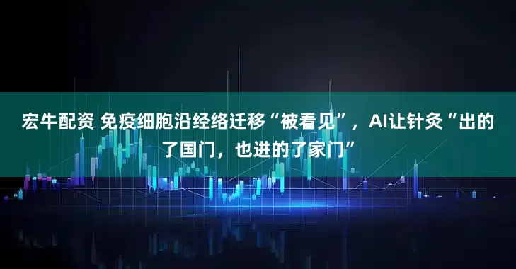 宏牛配资 免疫细胞沿经络迁移“被看见”，AI让针灸“出的了国门，也进的了家门”